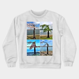 Stumpy in Four Seasons Crewneck Sweatshirt